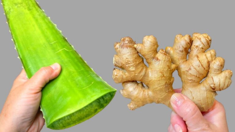 This forgotten trick transforms ordinary ingredients into a powerful bacteria-busting remedy…