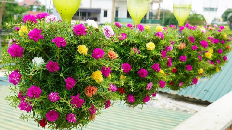 This simple method transforms trash into a stunning balcony garden…