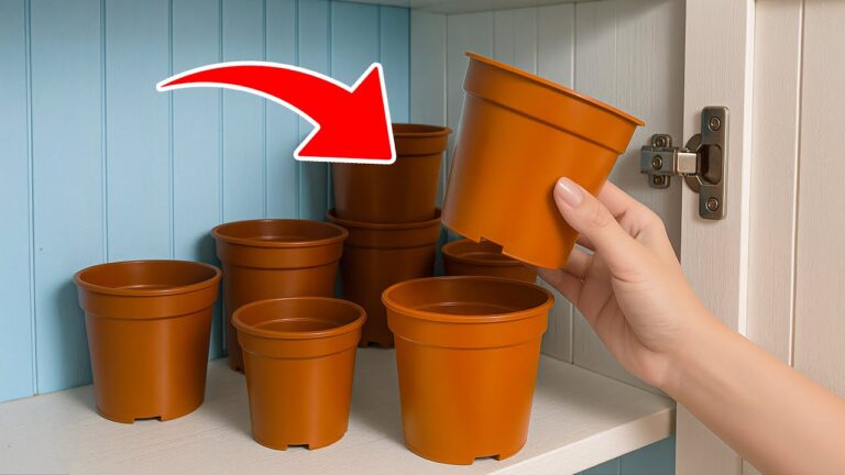 14 Brilliant Household Tricks to Transform Your Home Today!