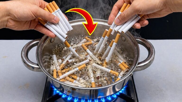 Boil Cigarettes: 5 Surprising Secrets You Need to Know!