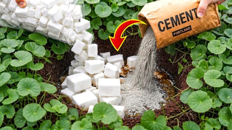 Transform Old Styrofoam into 7 Incredible DIY Projects with Cement!