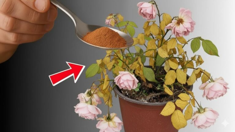 Revive 7 Dying Plants Fast with This Simple Trick!