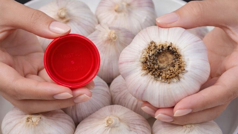 Peel a Whole Plate of Garlic in Just 10 Seconds with This Simple Trick!