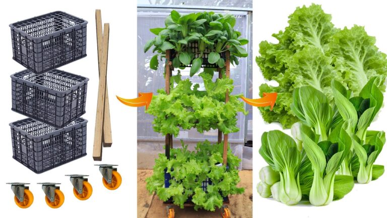 5 Steps to Grow Vegetables in Recycled Plastic Baskets: Easy Vertical Gardening Tips