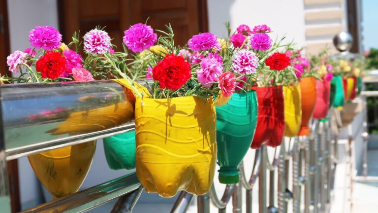 Transform Your Balcony: Gorgeous Hanging Garden from Recycled Bottles