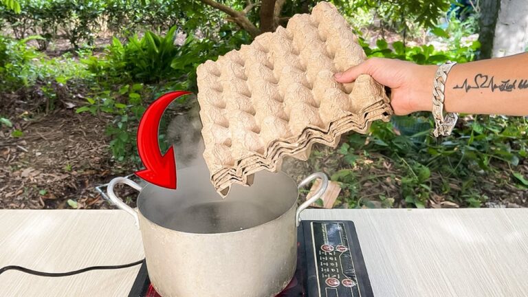 10 Surprising Ways to Use Plastic Egg Trays You Never Knew About!