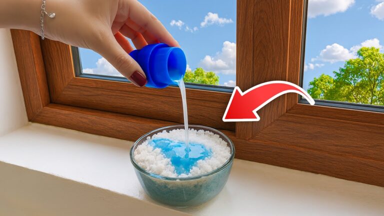 14 Genius Hacks to Clean and Organize Your Home Effortlessly