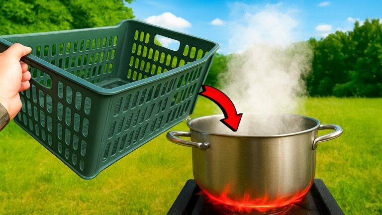 7 Genius Ways Plastic Fruit Containers Can Change Your Life!