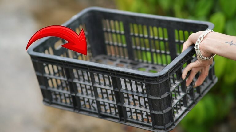 7 Smart Ways to Use Plastic Fruit Crates You Never Knew Existed
